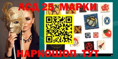 стаф Ставрополь