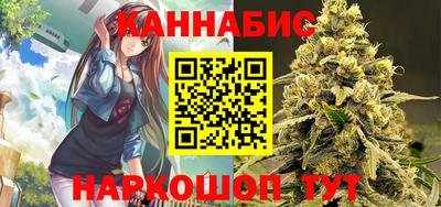 стаф Ставрополь